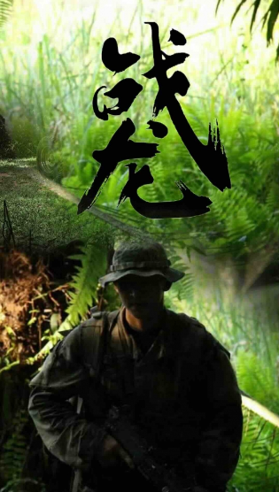 戰(zhàn)龍