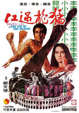 猛龍過江[電影解說]