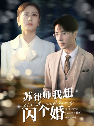 蘇律師我想閃個(gè)婚$蘇大律的社畜女友