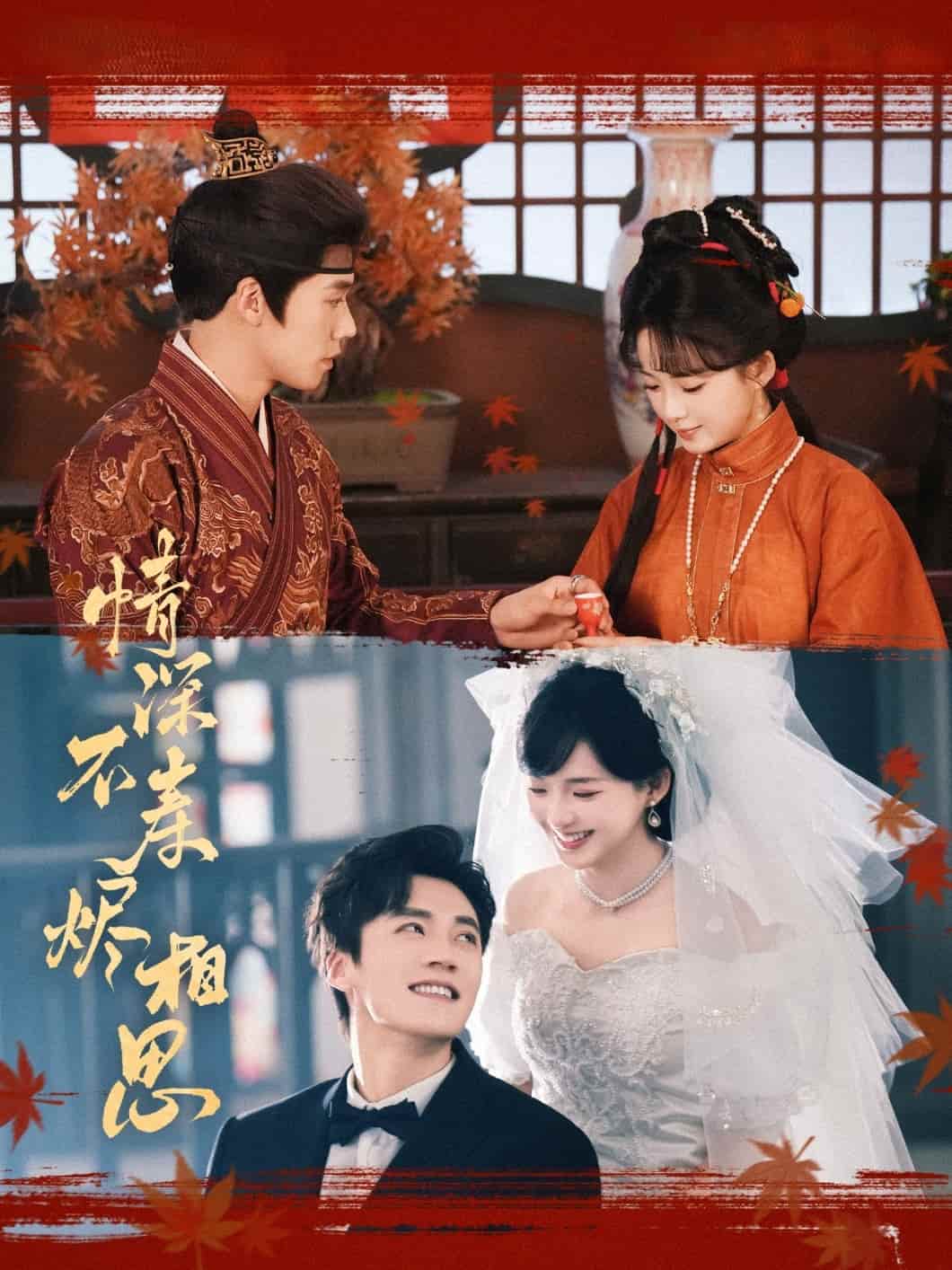 情深不壽燼相思