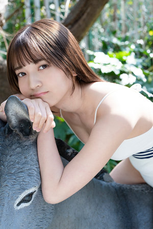 金沙江特大桥突发坠落事故